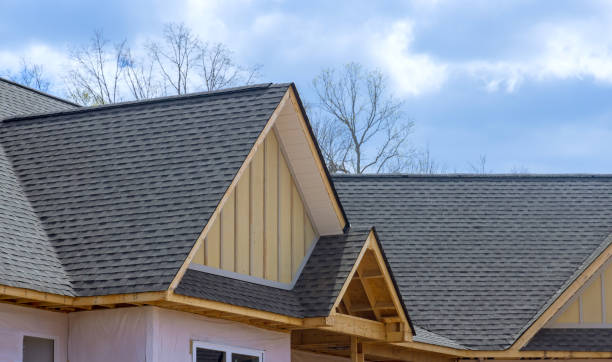 Best Sheet Metal Roofing  in Knob Noster, MO